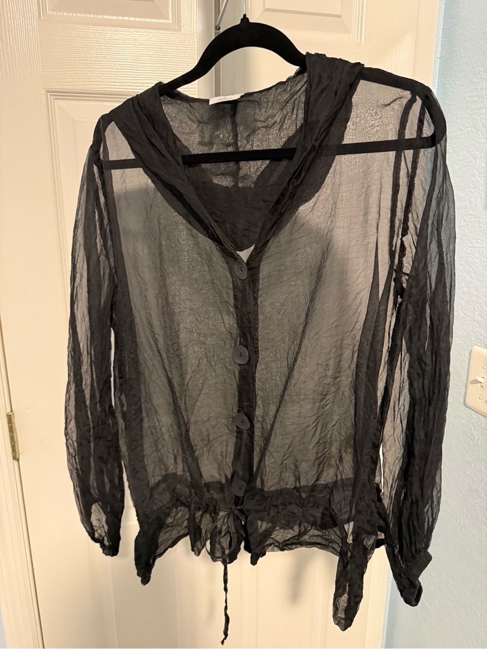 Women's Sheer Black Hooded Button-Front Blouse